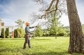 Pest Control for Lawns in Downingtown, PA